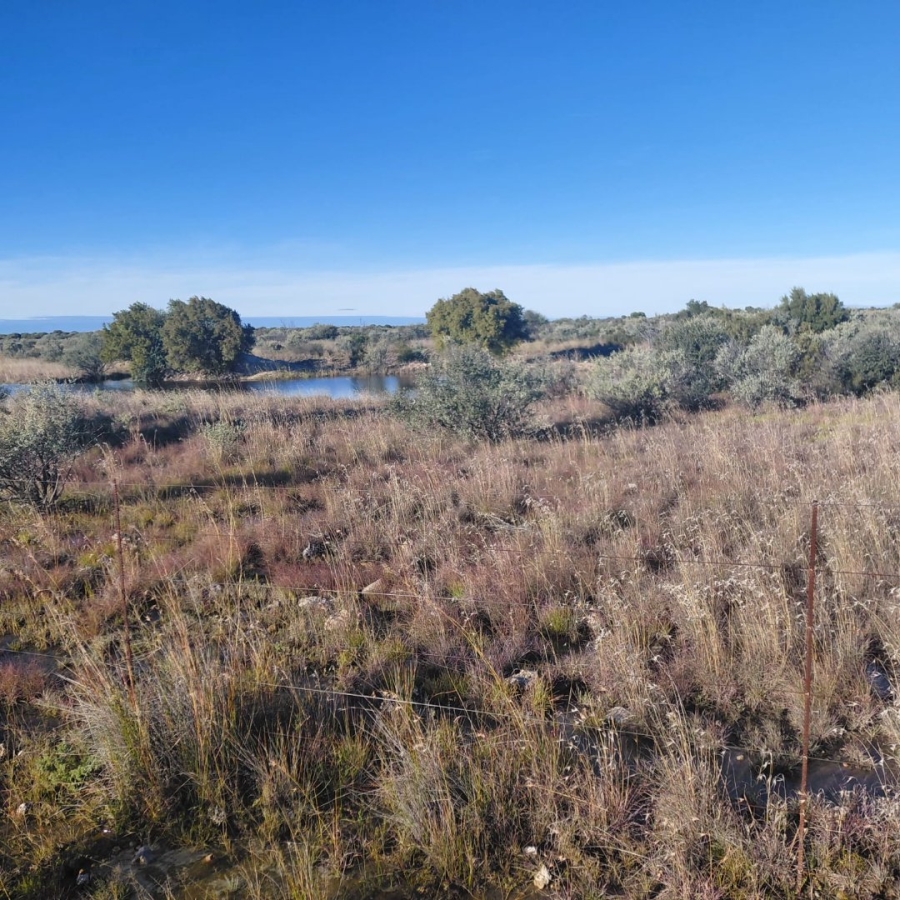 Commercial Property for Sale in Barkly West Rural Northern Cape